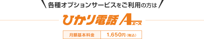 各種オプションサービスをご利用の方はひかり電話A（エース） 月額基本料金1,650円（税込）